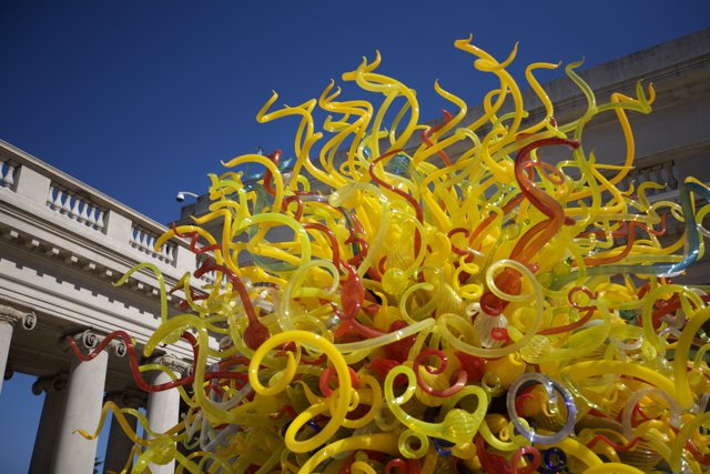 Colorful Glass Tree Sculpture in the Heart of San Francisco