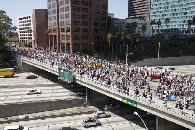 Mayday Rally: Massive Traffic Jam on the Freeway Overpass