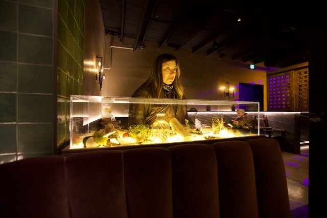 Woman Contemplating Illuminated Aquarium Display at Night