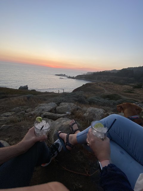 Beach Sunset Drinks with Your Furry Buddy