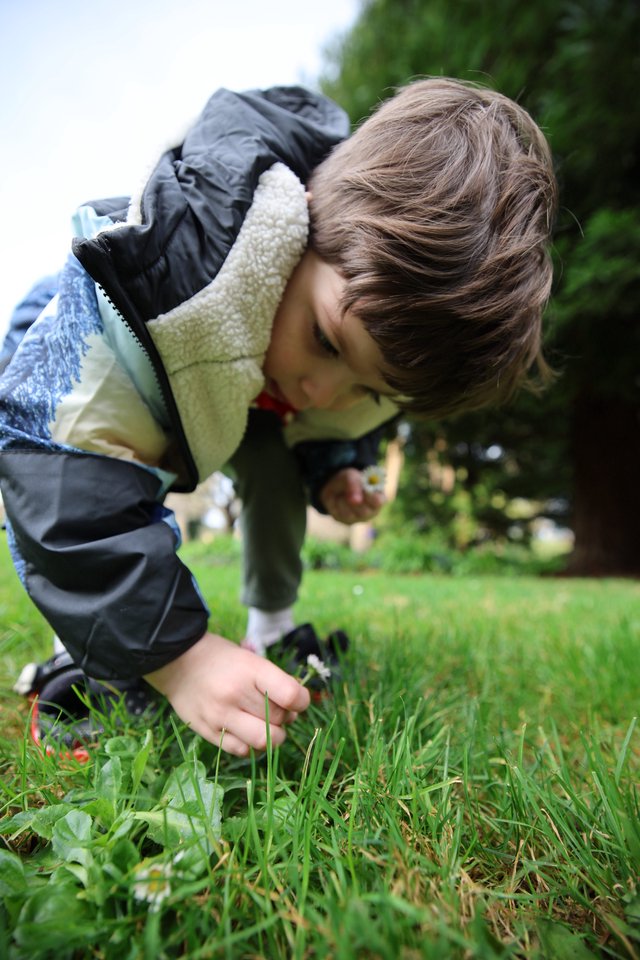 Child Discovering Nature in Park Exploration