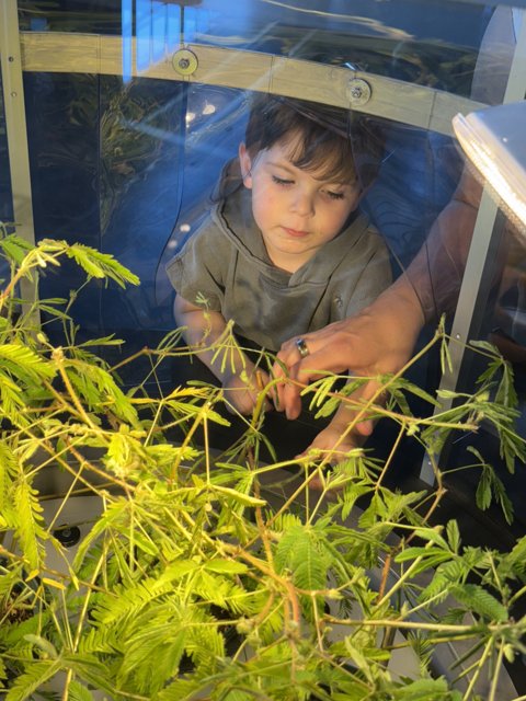 Curious Minds in the Greenhouse