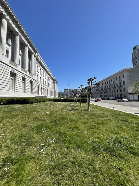 Serene View of San Francisco City Hall