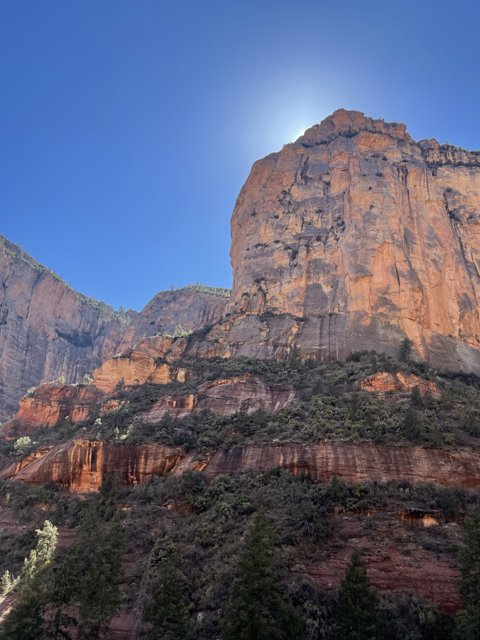 Glowing Cliff in Coconino National Forest