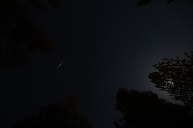 Meteor Streaks Across Star-Filled Night Sky