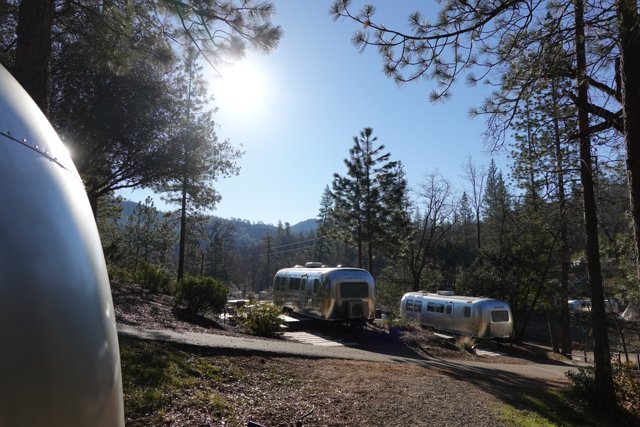 Airstream Oasis in the Woodland