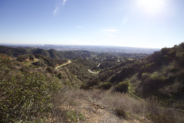 Top of the Hill in Griffith Park