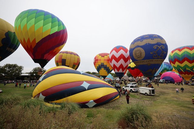 Colorful Hot Air Balloons Fill Festival Launch Field