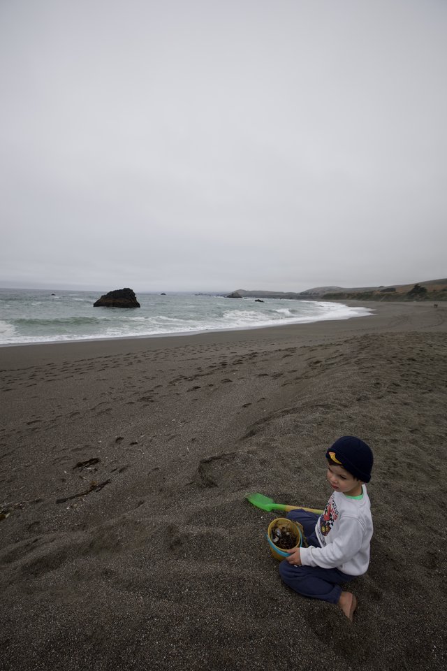 Young Child Playing on a Foggy Northern California Beach