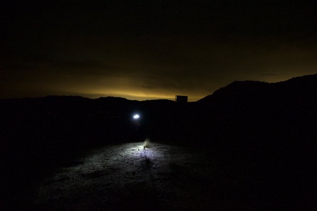 Seeking Light in the Desert Night