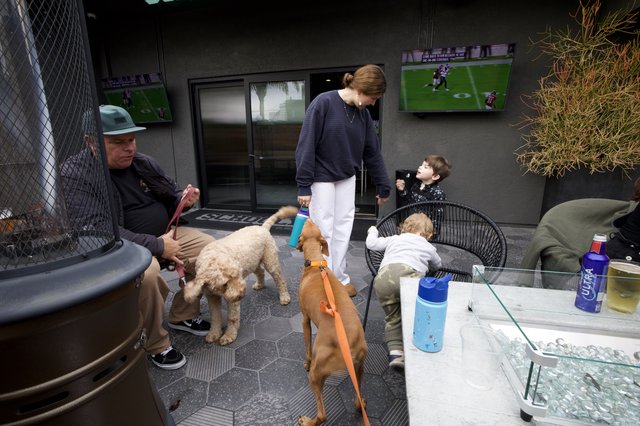 Family Gathering with Dogs on Modern Outdoor Patio