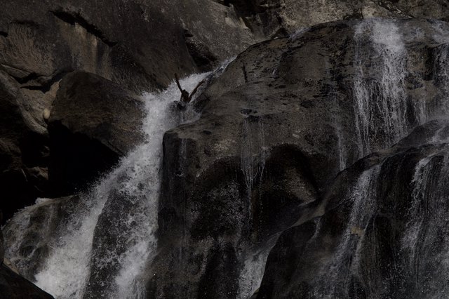 Daredevil Canyoneer Descending Waterfall in Yosemite Canyon