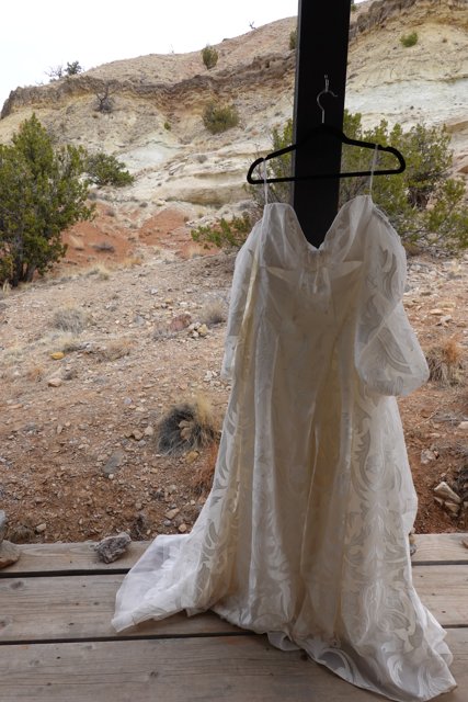 Desert Dream Wedding Dress