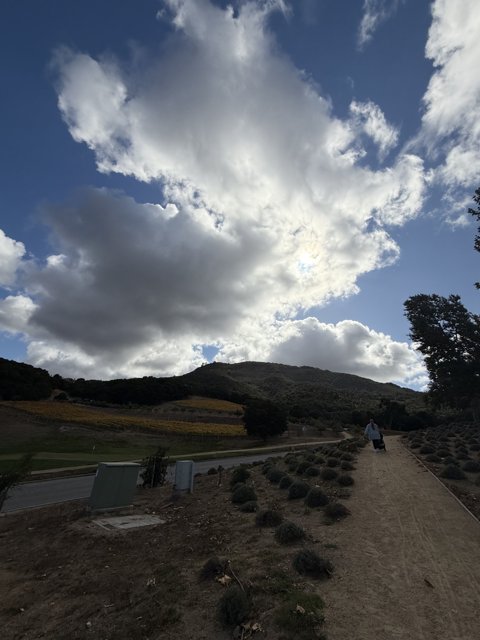 Stroll Under the Clouds