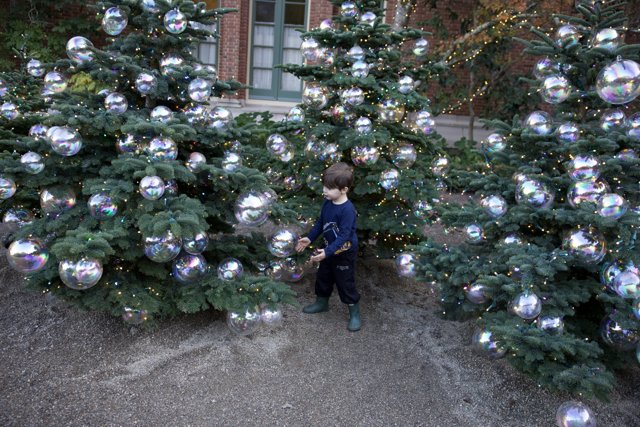 Enchanted Holiday Delight