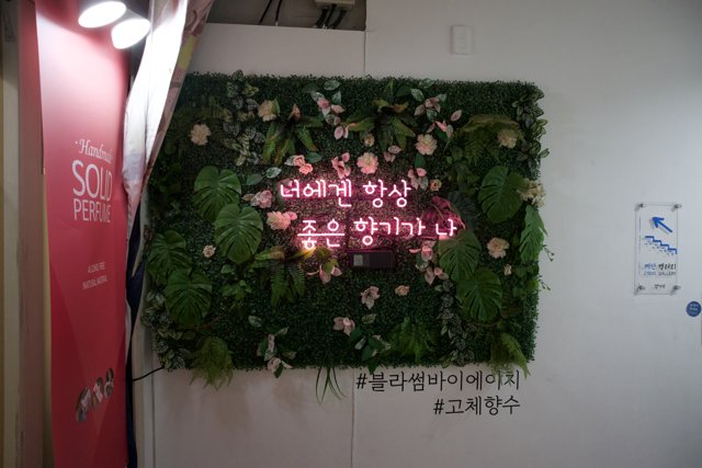 Korean Love Blooms Amidst Pastel Blooms