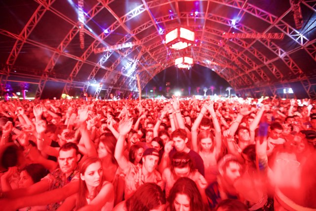 Coachella Music Festival Crowd Goes Wild