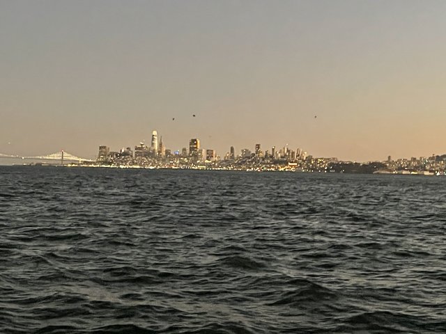 Urban Oasis: Panoramic View of San Francisco Bay