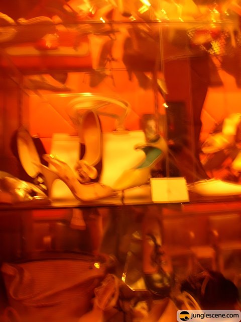 Shoe and Purse Haven