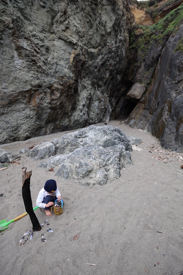 Young Explorer Collecting Treasures at Sea Cave Beach