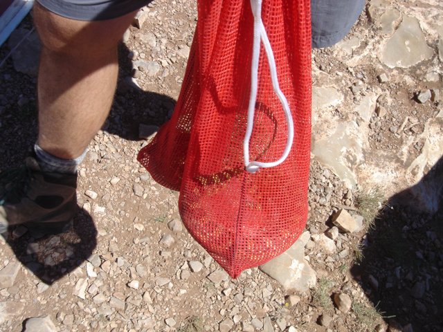 Red Mesh Bag on a Dirt Road