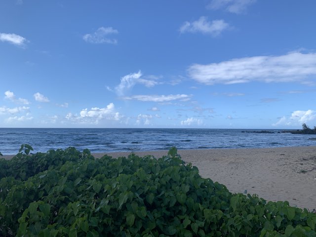 Serene Beach Horizon