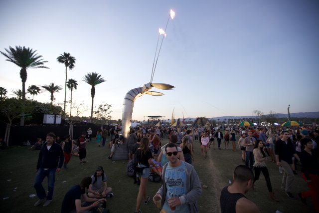 Coachella 2012: Jamming under Palm Trees