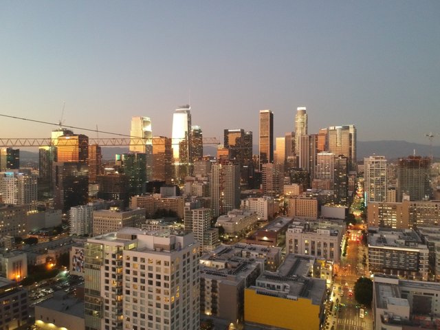 High Above LA's Urban Canopy