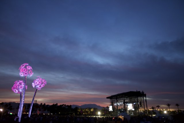 Purple Flower Takes Center Stage