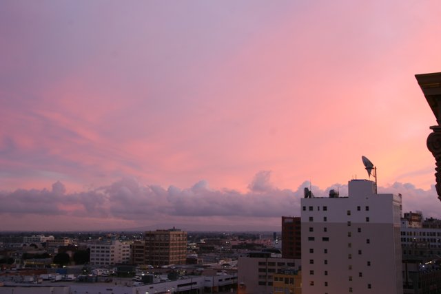 Pink Sky Above the Metropolis