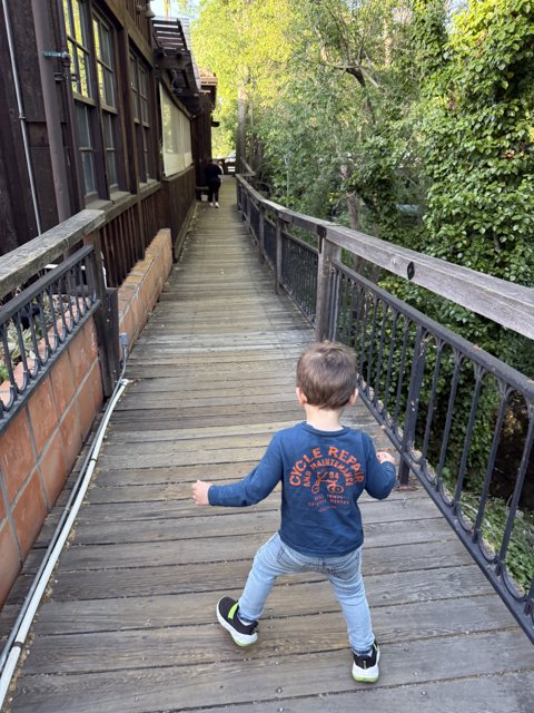 Strolling Through Walnut Creek