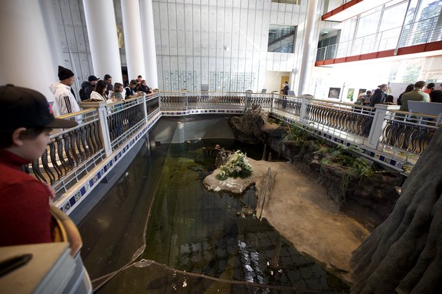 Visitors Observing Indoor Aquatic Habitat Exhibit