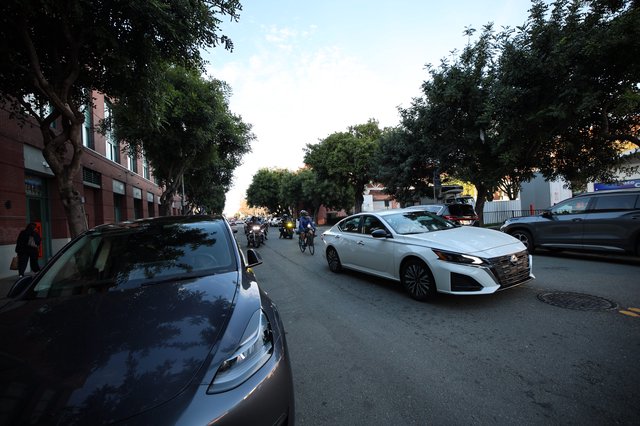 Evening Traffic on Tree-Lined Urban Street