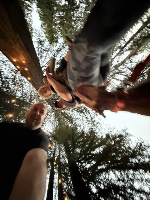 Twilight in the Redwoods