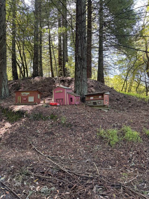 Miniature Village in the Woods