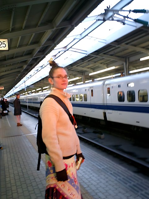 Waiting for the Bullet Train