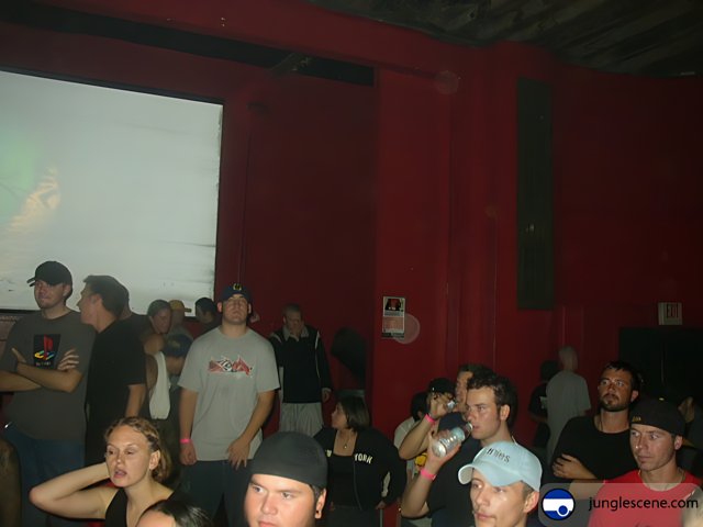 Nightclub Audience Watching a Screen