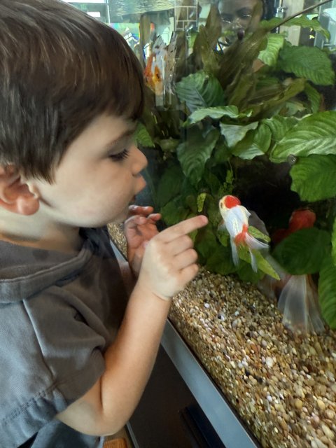 A Moment of Wonder