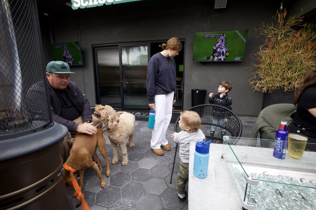 Family Gathering at Modern Outdoor Patio with Dogs