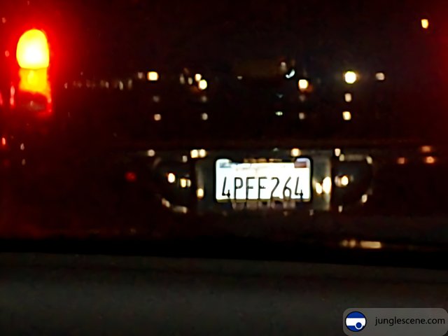 Illuminated License Plate