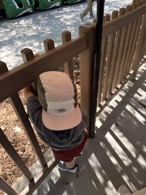Curious Adventures at Happy Hollow