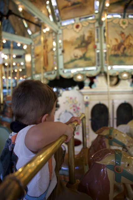 Joyful Rides at Tilden Carousel
