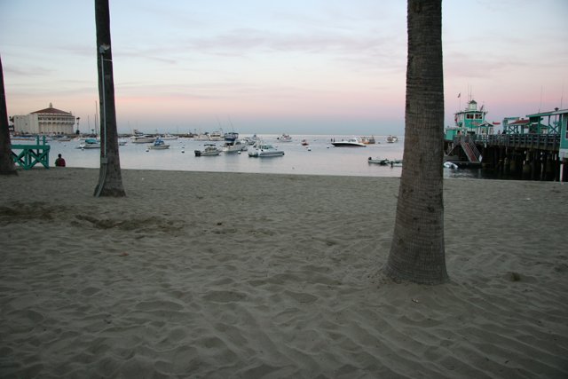 Tranquil Harbor Sunset