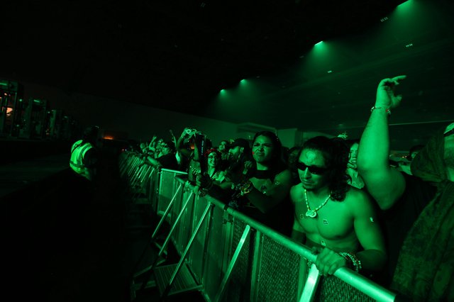 Crowd Surges at Wobbleland 2026 Under Green Lights