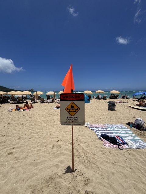 Caution and Calm: A Day at Waikiki Beach