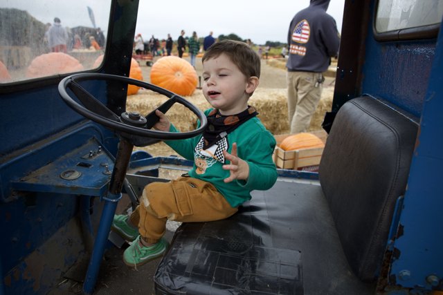 Pumpkin Patch Driver