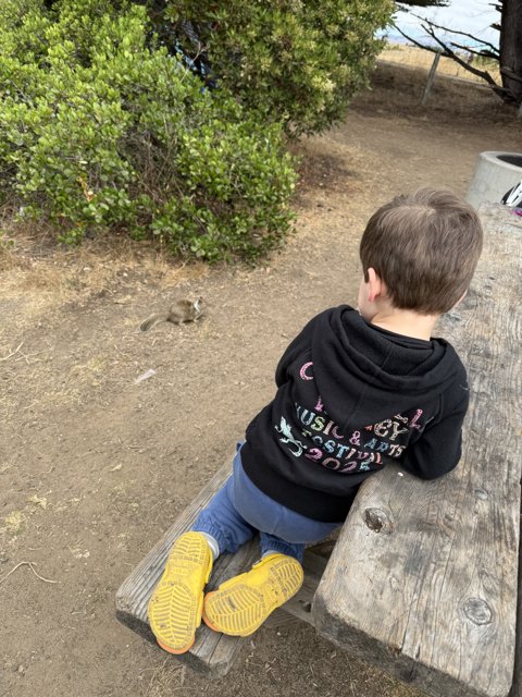 Curious Explorer in Cambria