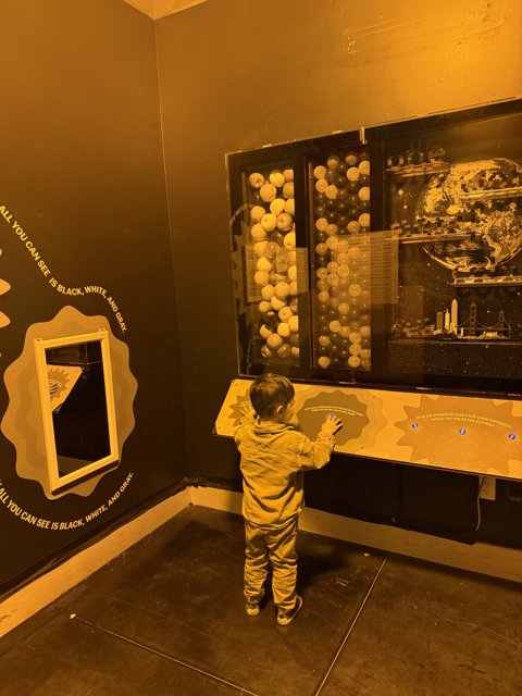Exploring the Universe's Wonders