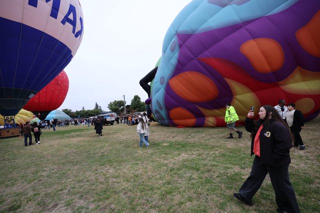 Hot Air Balloons Inflate at Sonoma County Classic