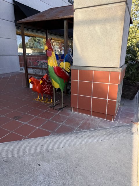 Vibrant Roosters in Walnut Creek